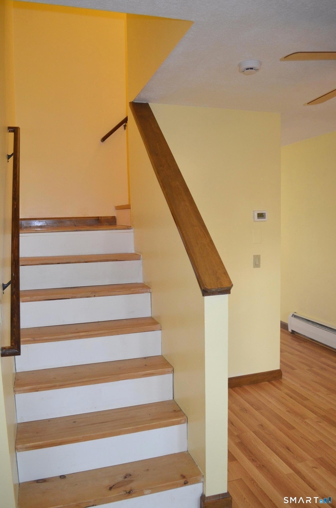 59 Cook Street - Photo 8