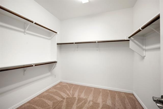3713 Limousine Parkway - Photo 15