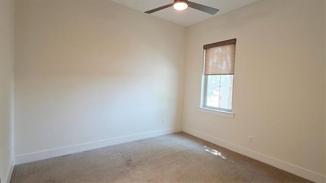 13222 Bee Street - Photo 3