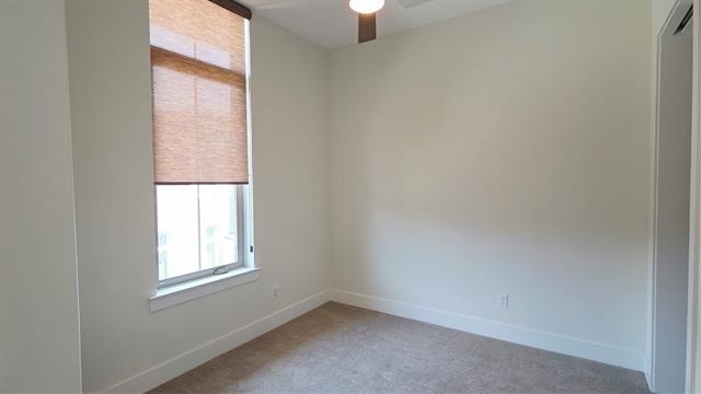 13222 Bee Street - Photo 17