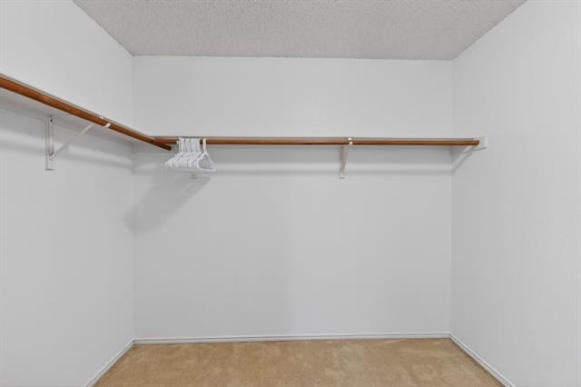 2316 White Oak Drive - Photo 24