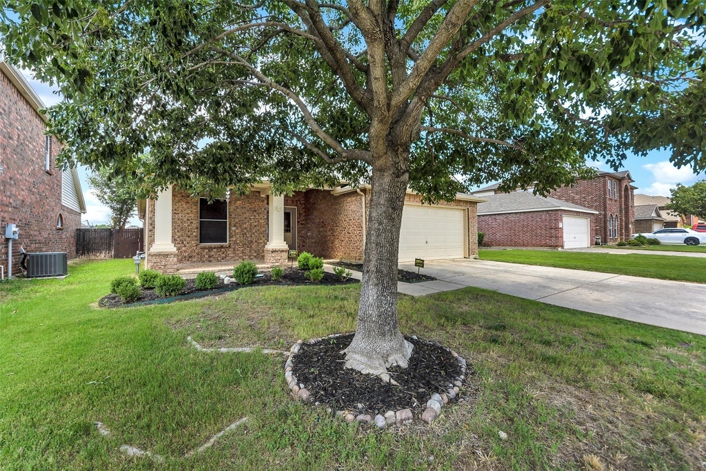 10117 Sourwood Drive - Photo 2