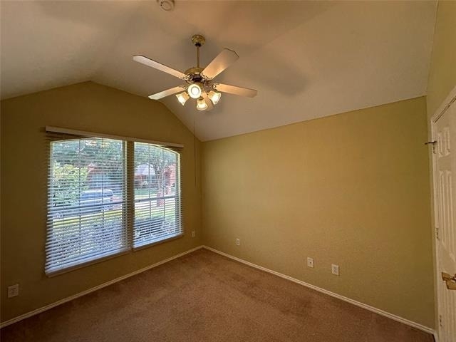 10701 Nashville Drive - Photo 15