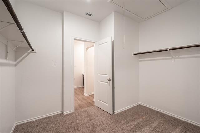 3309 Catamount Drive - Photo 15
