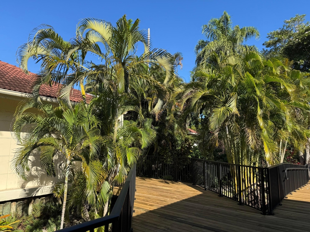111 Lake Emerald Drive - Photo 37