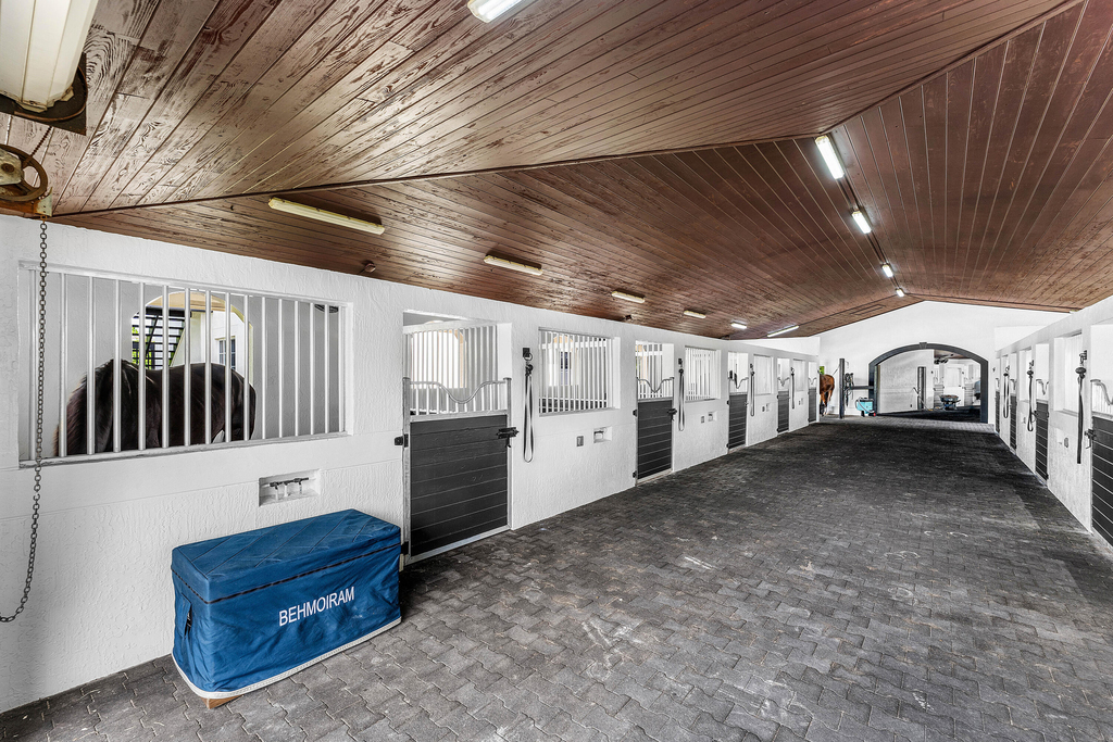 14155 Equestrian Way - Photo 4