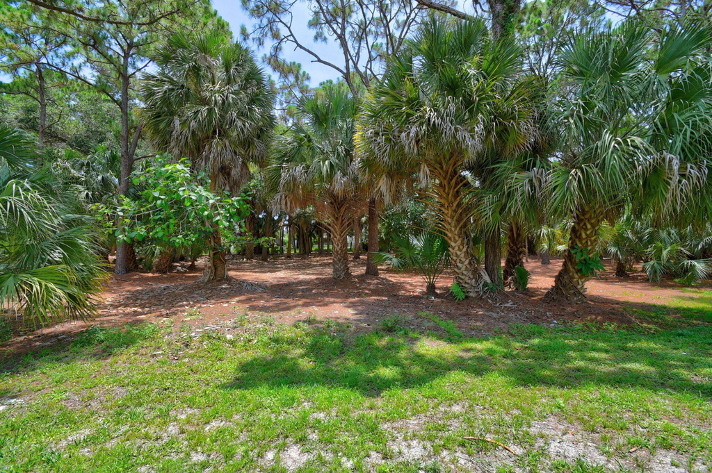 8332 Bermuda Sound Way - Photo 43