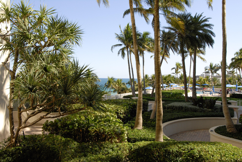 3200 N Ocean Boulevard - Photo 2