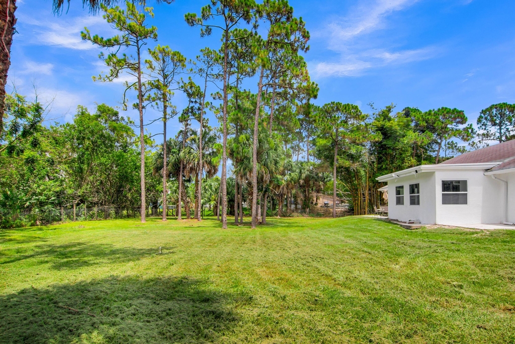 14817 97th Road N - Photo 40