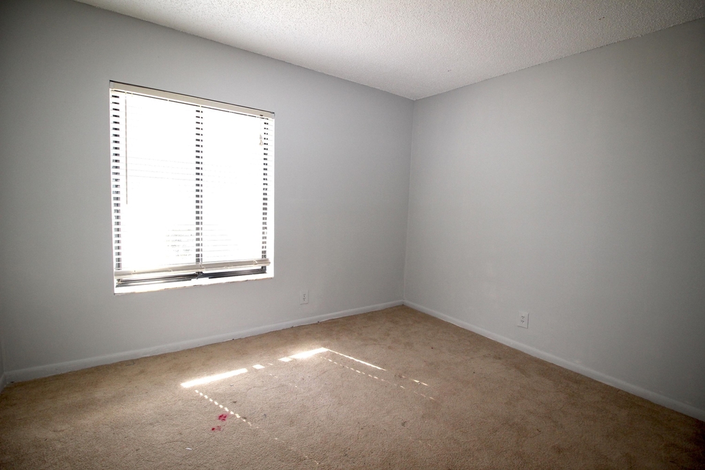 6287 Scotch Pine Lane - Photo 8