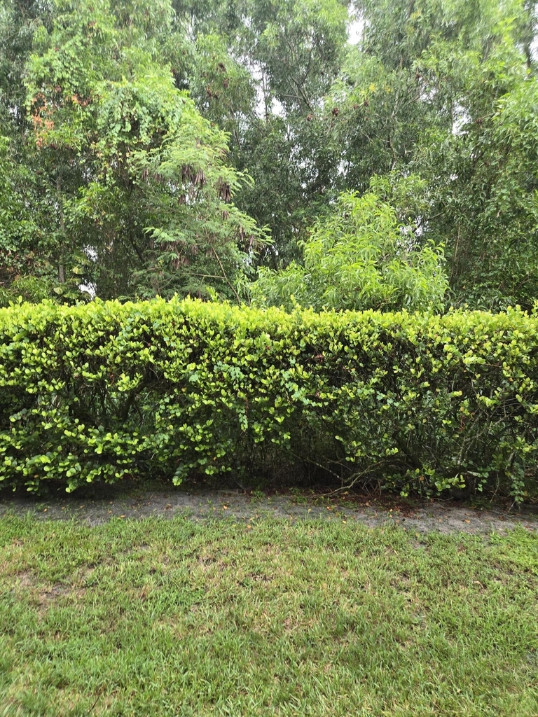4675 Palmbrooke Circle - Photo 10