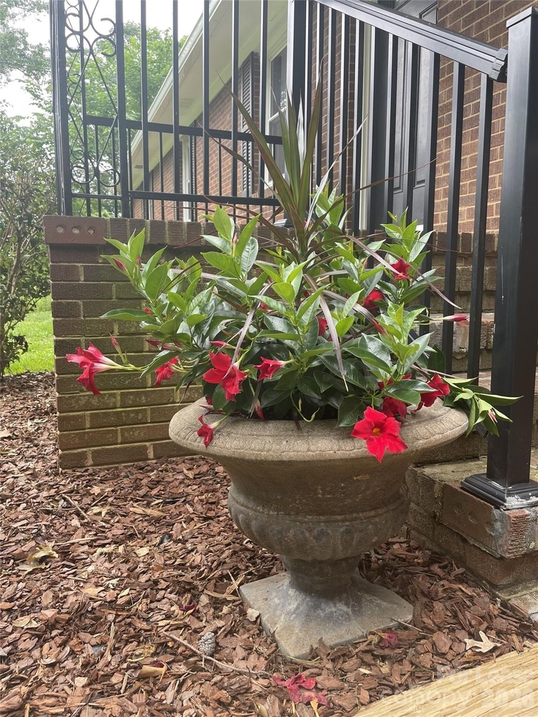 540 Carolyn Lane - Photo 19