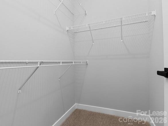 3110 Mccauley Meadows Drive - Photo 15