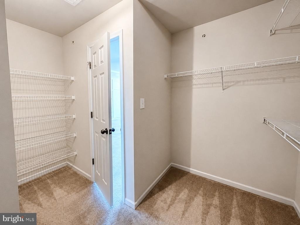 5845 Bella Marie Way - Photo 47