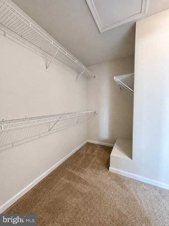 5845 Bella Marie Way - Photo 51