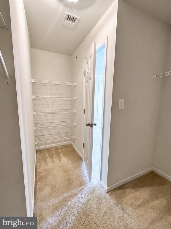 5845 Bella Marie Way - Photo 48