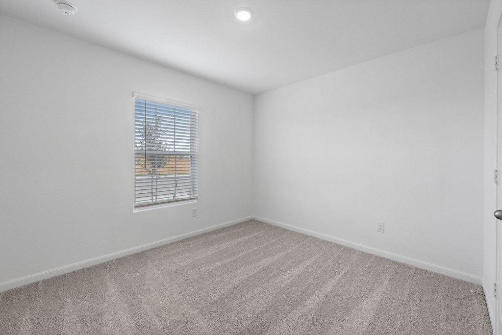 354 Low Pasture Trl - Photo 8