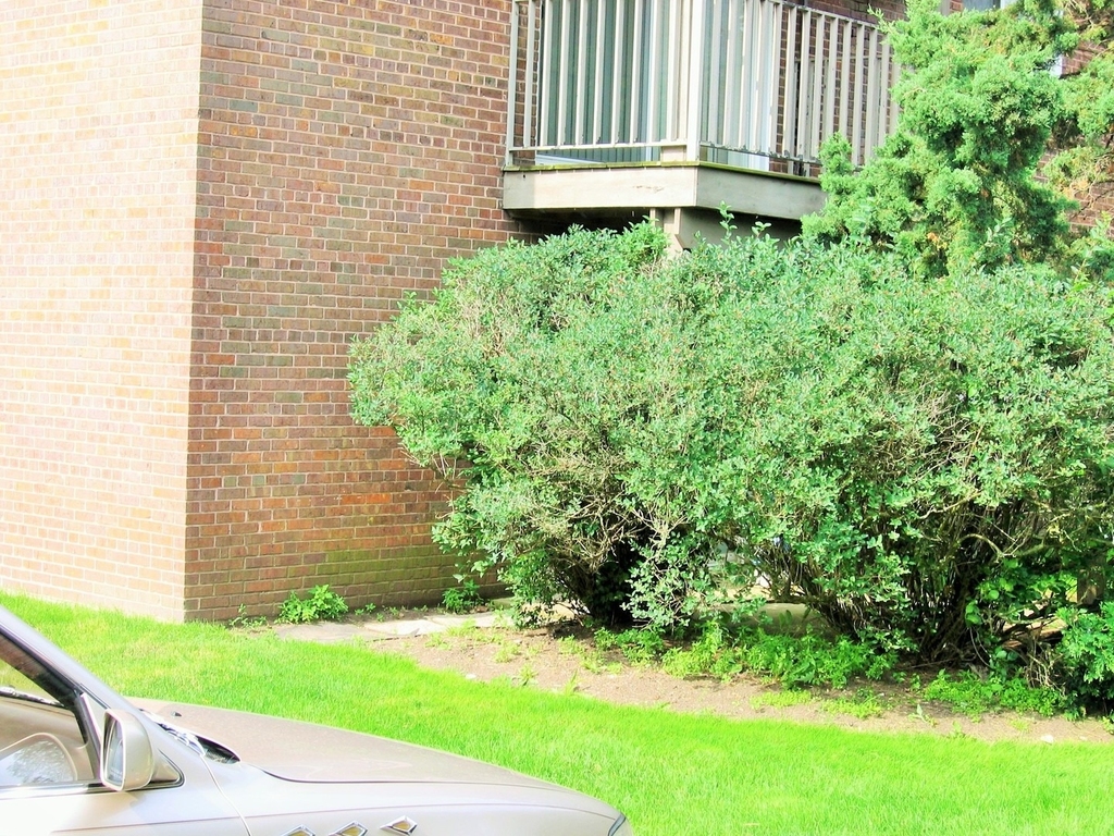2300 Beau Monde Terrace - Photo 11