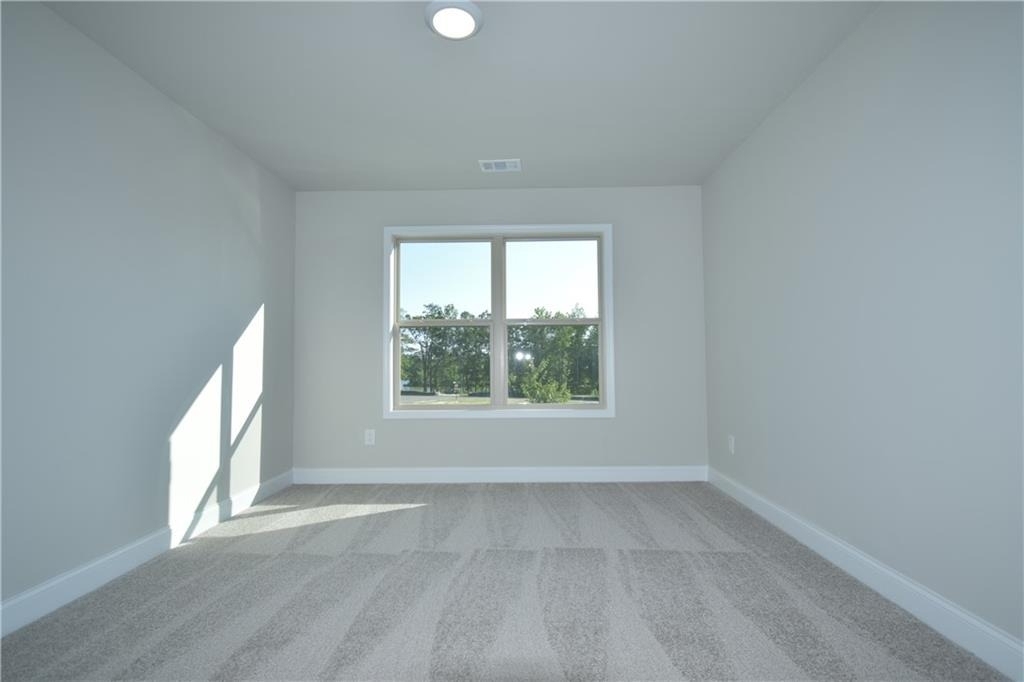 415 Brown Dove Ln - Photo 28