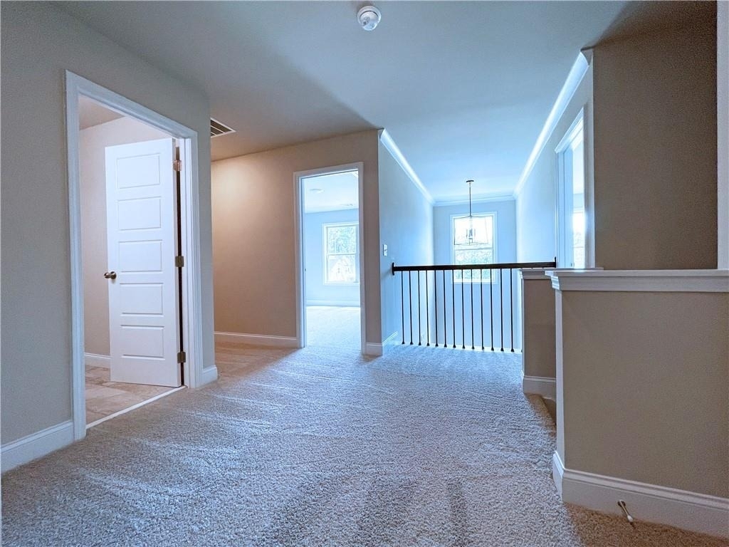 415 Brown Dove Ln - Photo 17