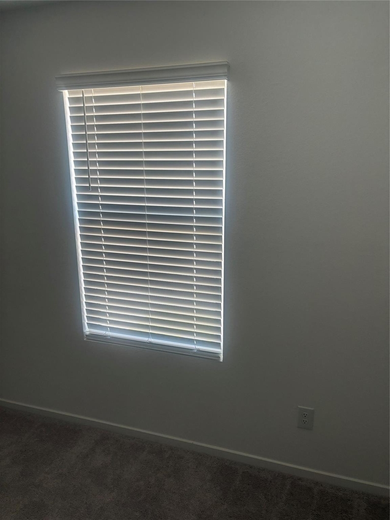 952 Pertuso Lane - Photo 13