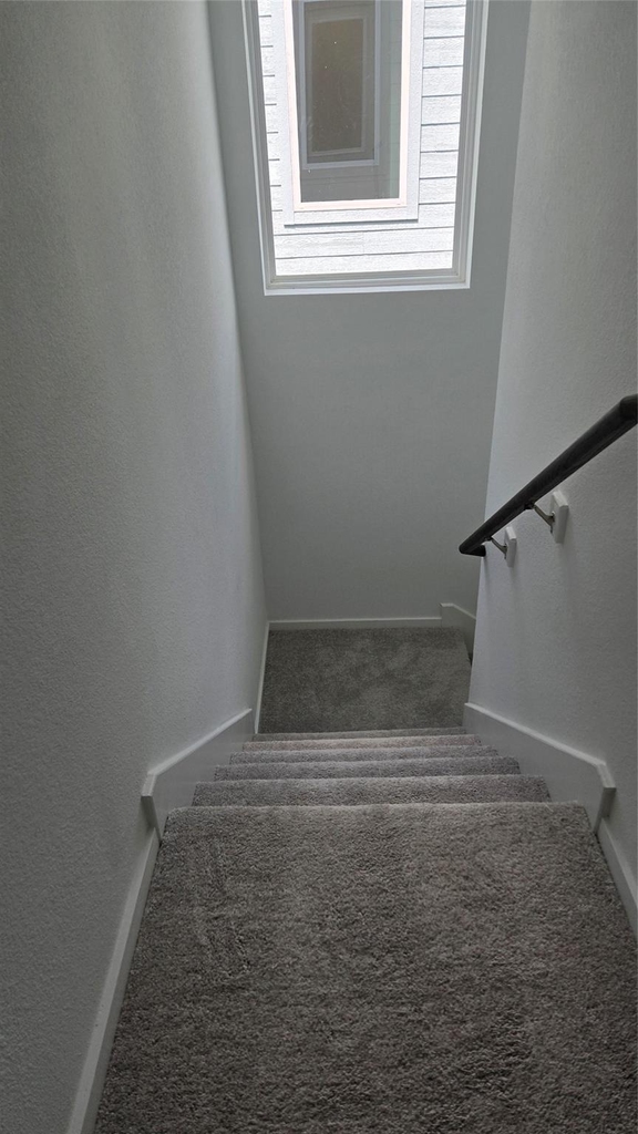 952 Pertuso Lane - Photo 14