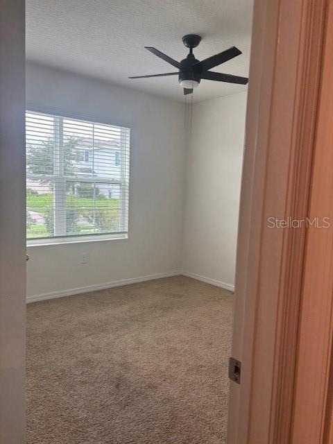 32696 Pez Landing Lane - Photo 9