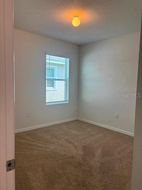 32696 Pez Landing Lane - Photo 11