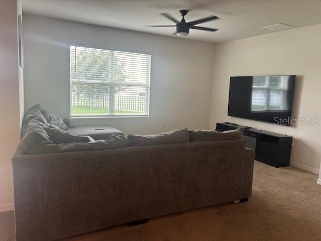 32696 Pez Landing Lane - Photo 2