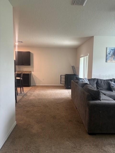 32696 Pez Landing Lane - Photo 23