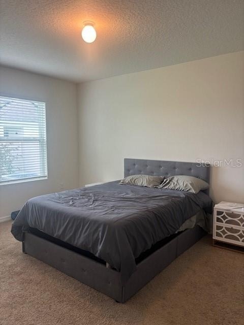 32696 Pez Landing Lane - Photo 3