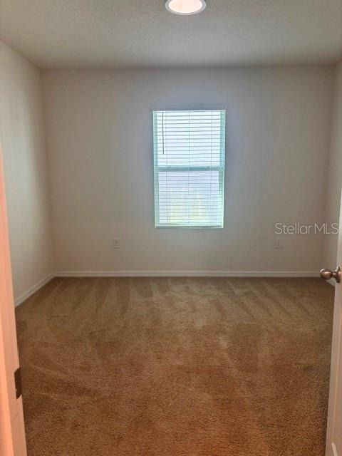 32696 Pez Landing Lane - Photo 17