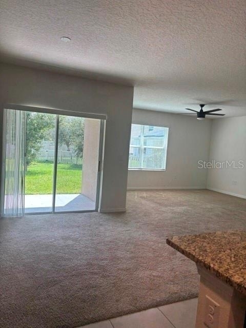 32696 Pez Landing Lane - Photo 5