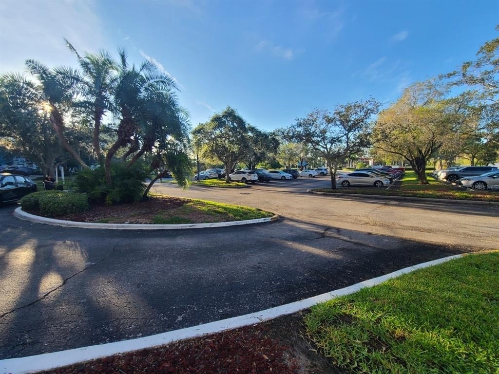 2333 Feather Sound Drive - Photo 4