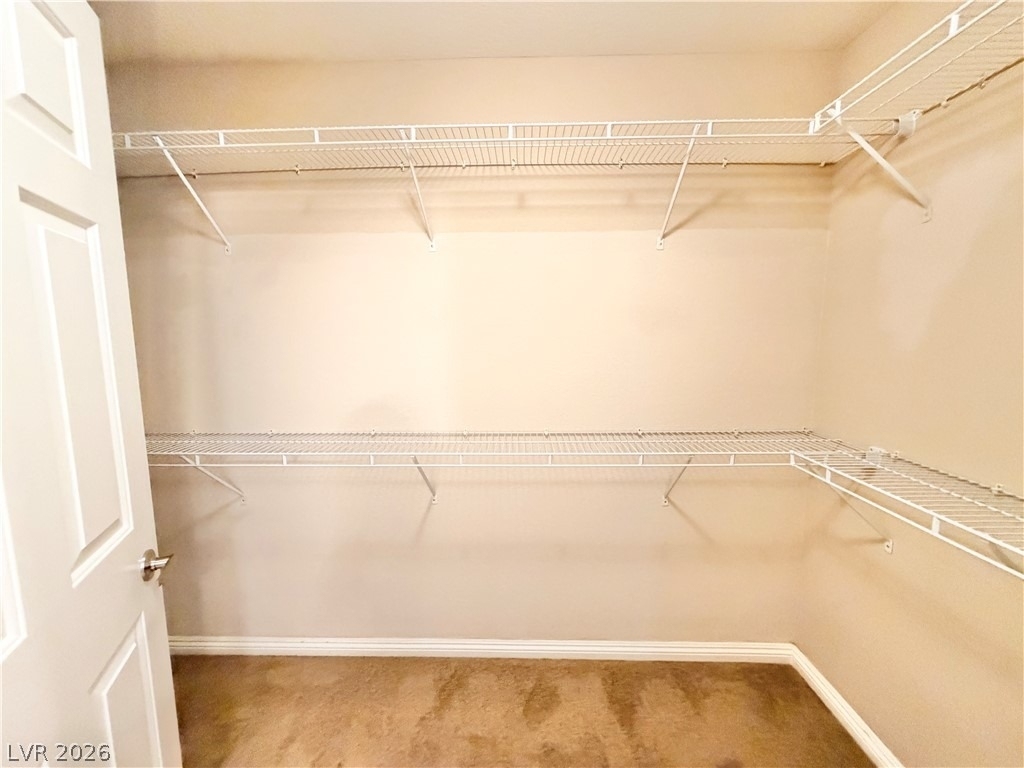 10360 Blue Ginger Drive - Photo 16