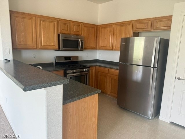 3314 Indian Shadow Street - Photo 4