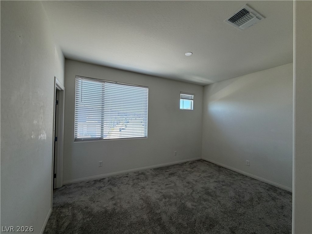 11836 Black Canary Avenue - Photo 33