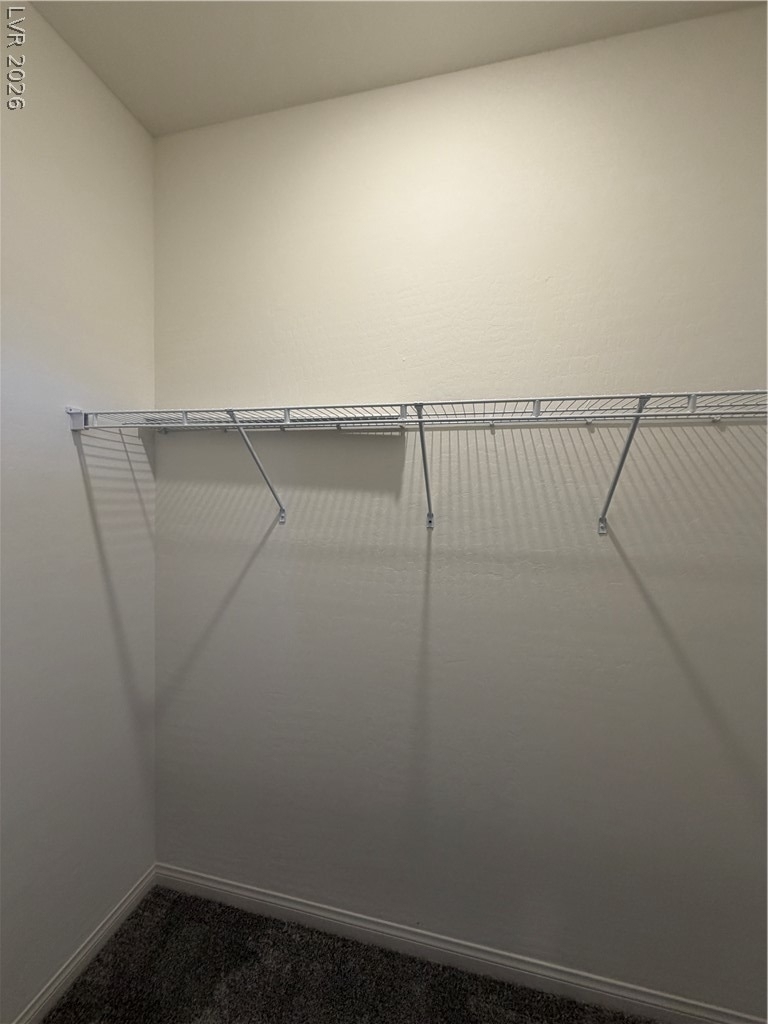 11836 Black Canary Avenue - Photo 29