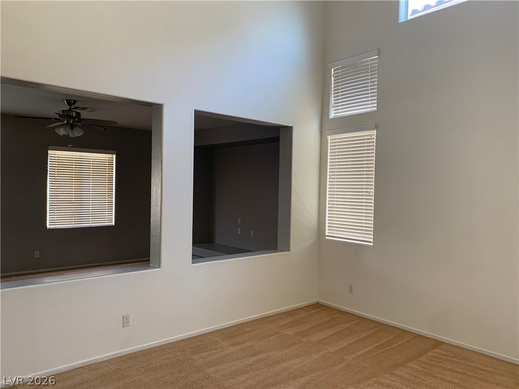 4423 Peaceful Harbor Street - Photo 3