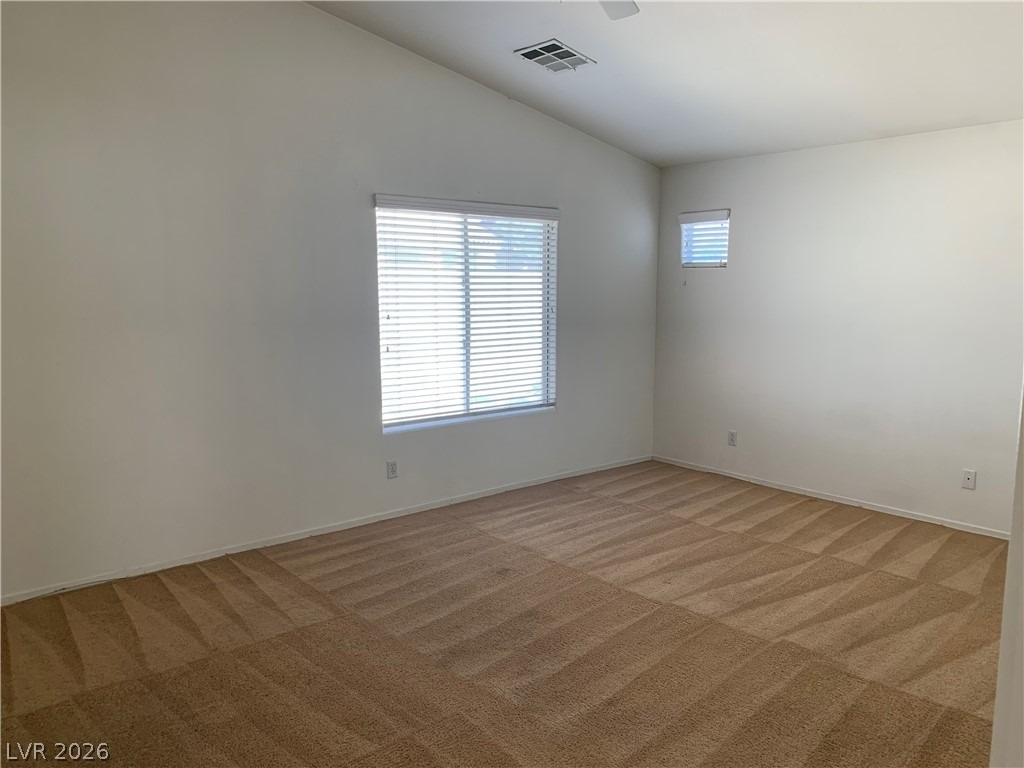 4423 Peaceful Harbor Street - Photo 19