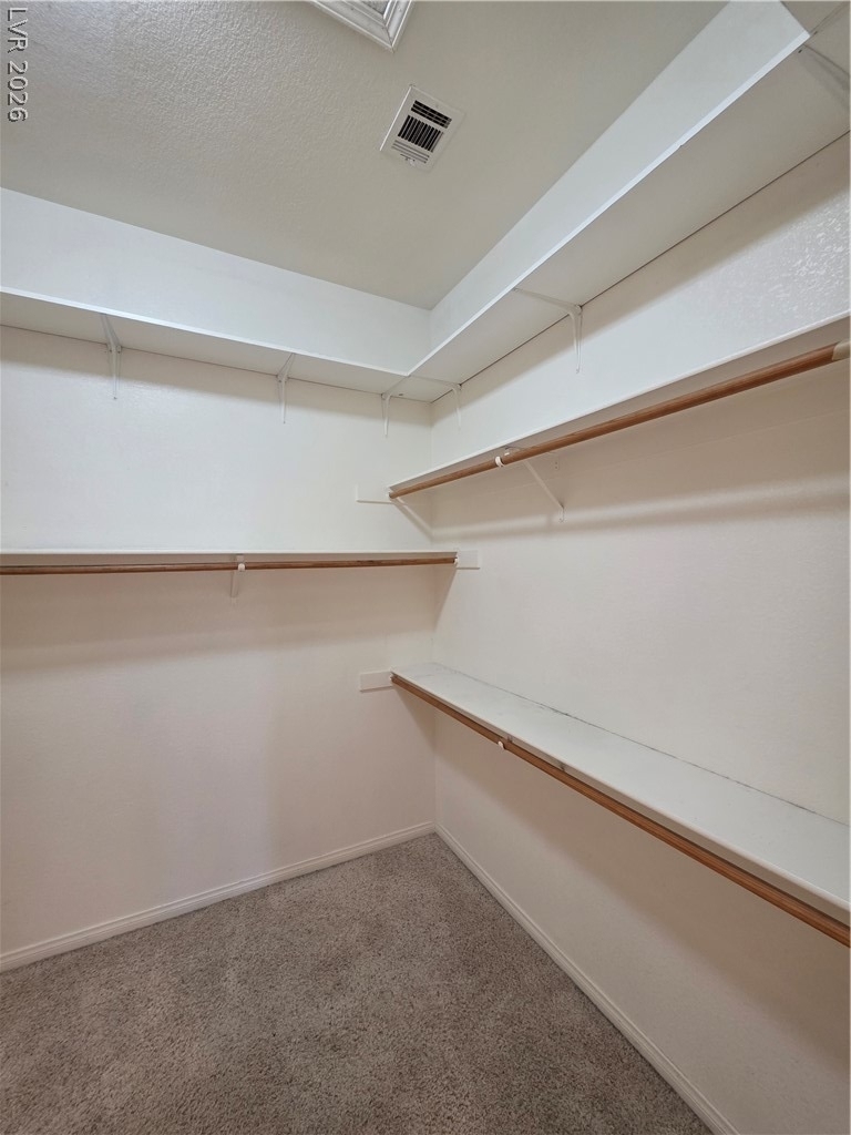 6323 Mahogany Peak Avenue - Photo 89