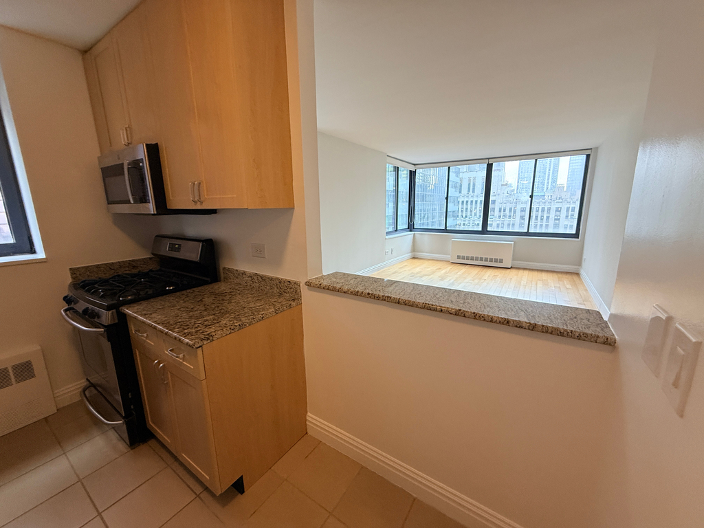 West 48th Street - Photo 4