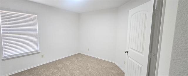 319 Elam Drive - Photo 5