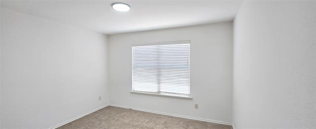 319 Elam Drive - Photo 9