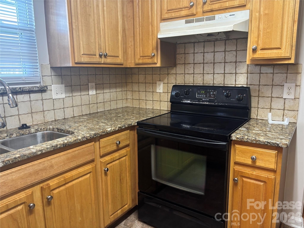 1426 Peach Park Lane - Photo 9
