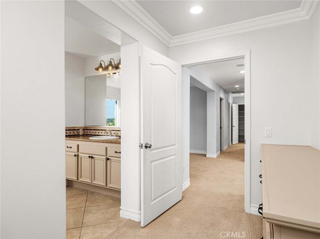 28911 Mirada Circulo - Photo 45