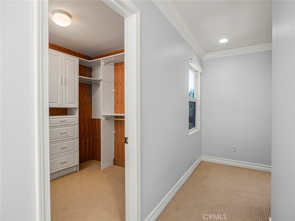 28911 Mirada Circulo - Photo 44