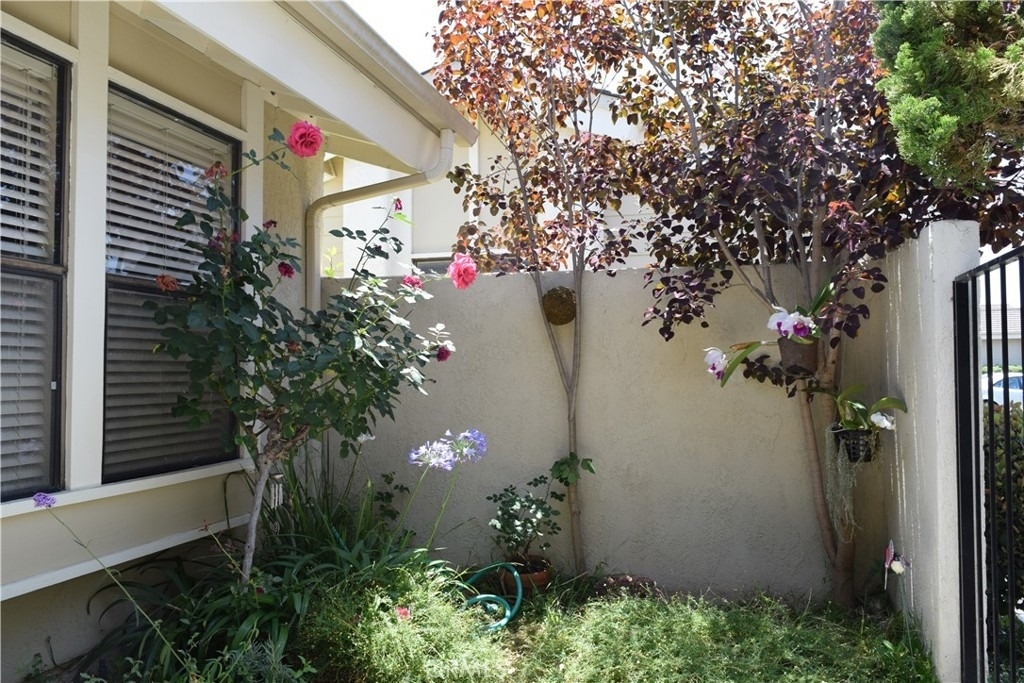 18 Starflower - Photo 4