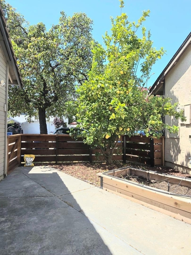 29444 Chance Street - Photo 4