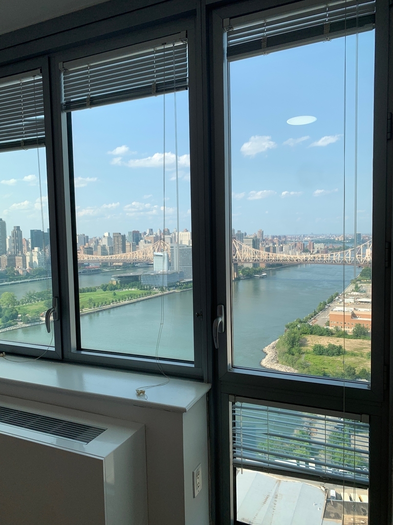 Center Boulevard, Near Hunters Point and Long Island City Waterfront  - Photo 9